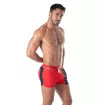 Holidays Swim Shorts Red