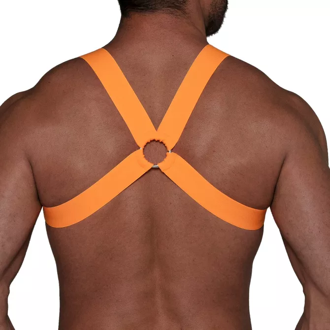 Fetish Harness Neon Orange from the back with a crossback