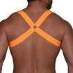 Harness Neon Orange from the back