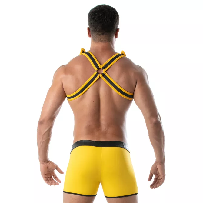 Neoprene Bulldog harness Yellow