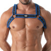 Neoprene Bulldog harness Blue