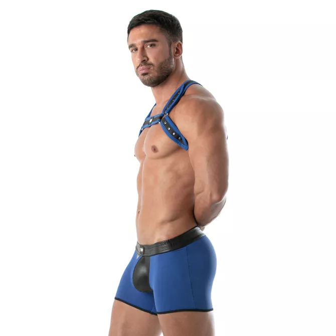 Harnais Bulldog Neoprene Bleu