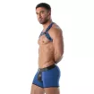 Harnais Bulldog Neoprene Bleu