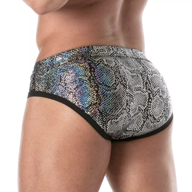 Splendid Swim Briefs Silver