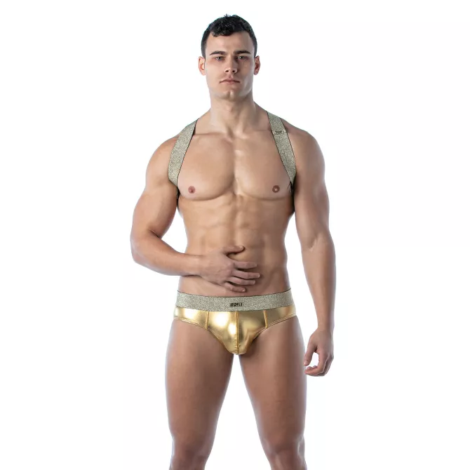 Harnais Magic X Gold – Harnais homme sexy en lurex | TOF Paris