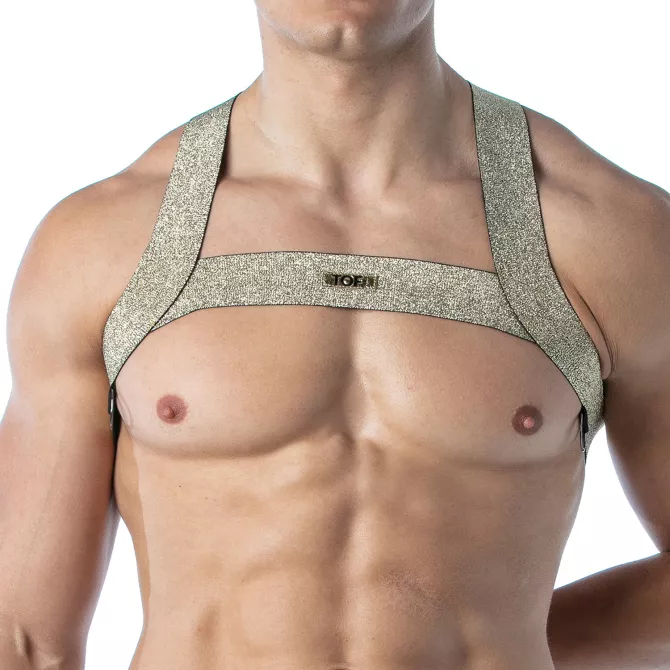 Magic H Harness Gold – Sexy and Trendy Men’s Harness | TOF Paris