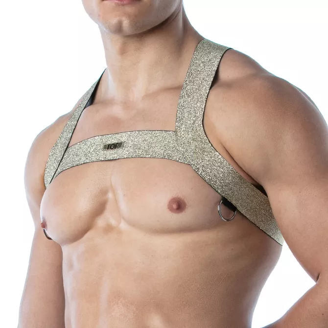 Magic H Harness Gold – Sexy and Trendy Men’s Harness | TOF Paris