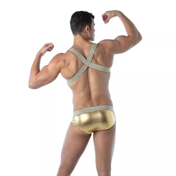 Magic H Harness Gold – Sexy and Trendy Men’s Harness | TOF Paris