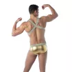 Magic H Harness Gold – Sexy and Trendy Men’s Harness | TOF Paris