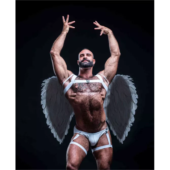 Harnais de cuisse - Sexywear - Homme - Aile d'ange - De Face
