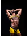 Neoprene Bulldog harness Yellow