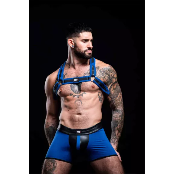 Harnais Bulldog Neoprene Bleu