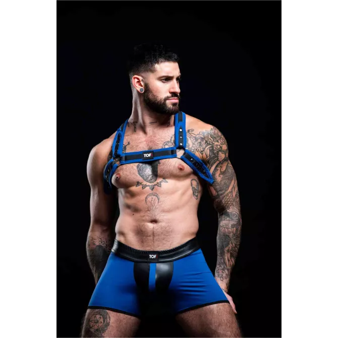 Bulldog Neoprene Harness Blue – Adjustable and Sexy Men's Harness