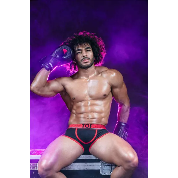 Champion Boxers Black