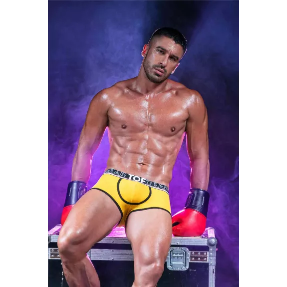 Boxer Sexy Champion Jaune