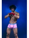 Boxer Sexy Champion Rose