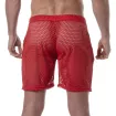 See Through Mens Long Shorts Red from the back