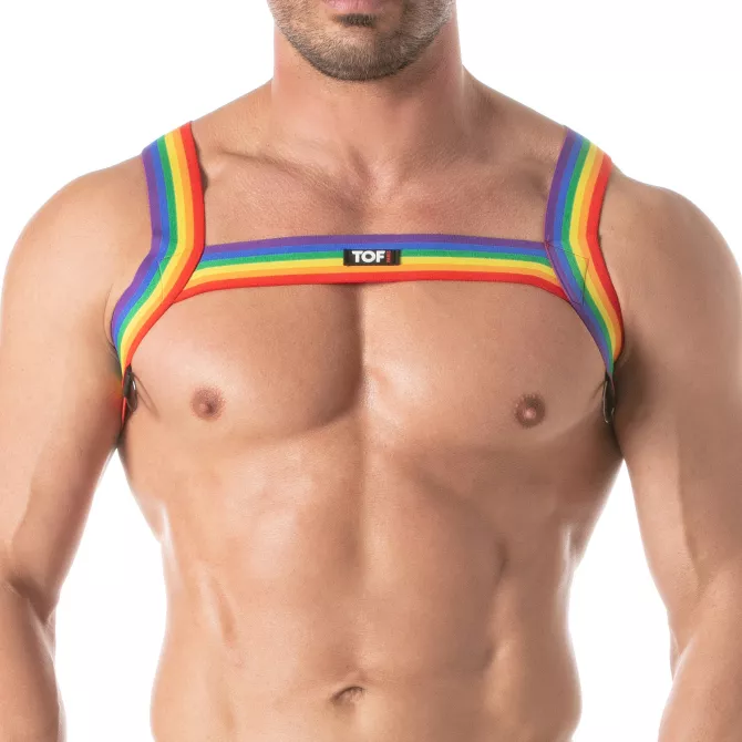 Rainbow Chest Harness