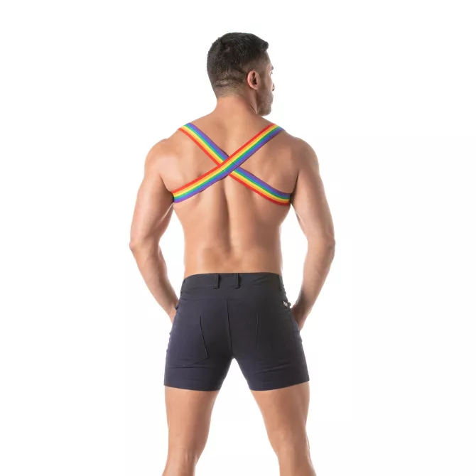 FROM THE BACK Rainbow Chest Harness