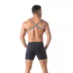 FROM THE BACK Rainbow Chest Harness