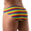 Rainbow Swim Bikini FOR GAY MEN FROM THE BACK