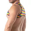 Rainbow Mens Harness from sideway