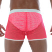 Neon Mesh Shorts Pink from the back with a white thong